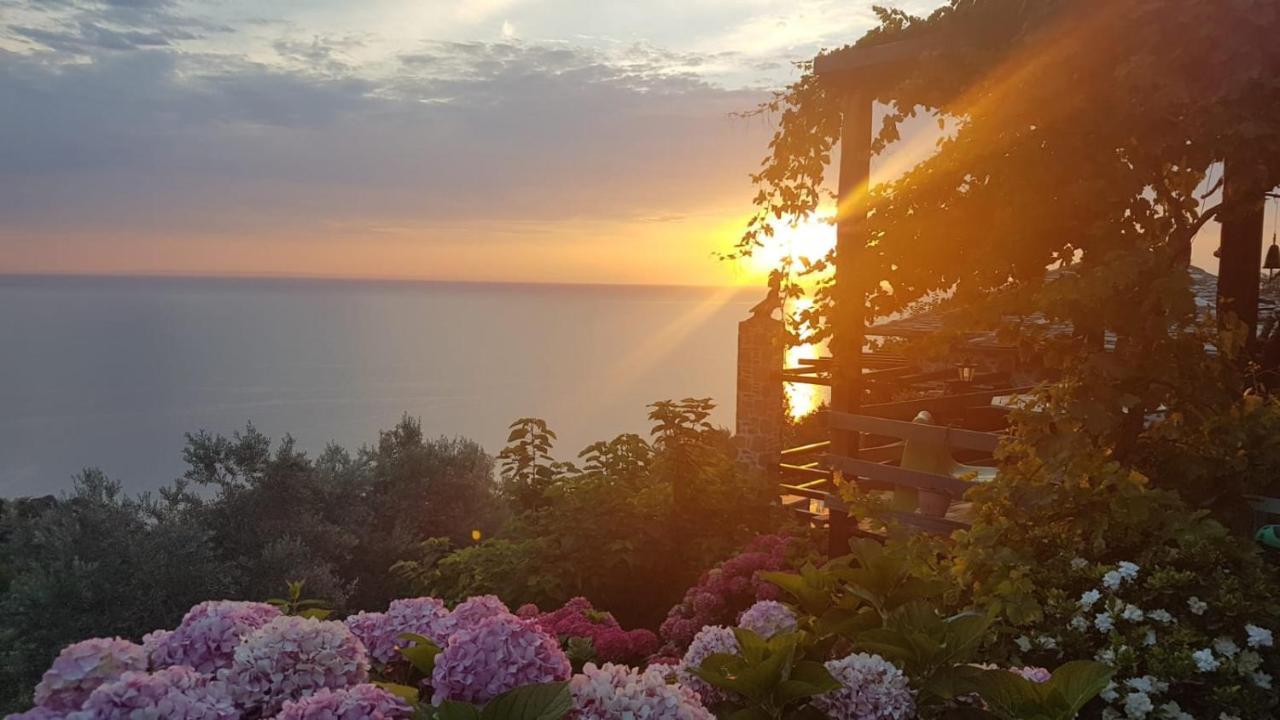 Sunriseview Suite And Gallery Zagorá Ngoại thất bức ảnh